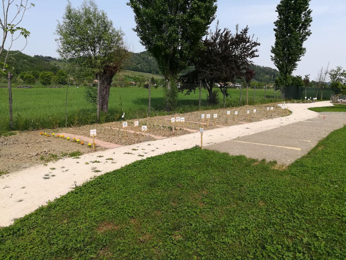 Вилла Casa In Campagna Torreglia Экстерьер фото